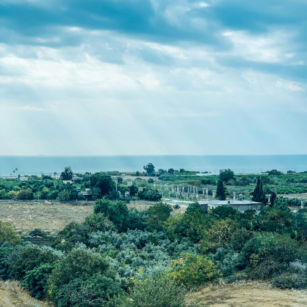 a view of the ocean from a hill