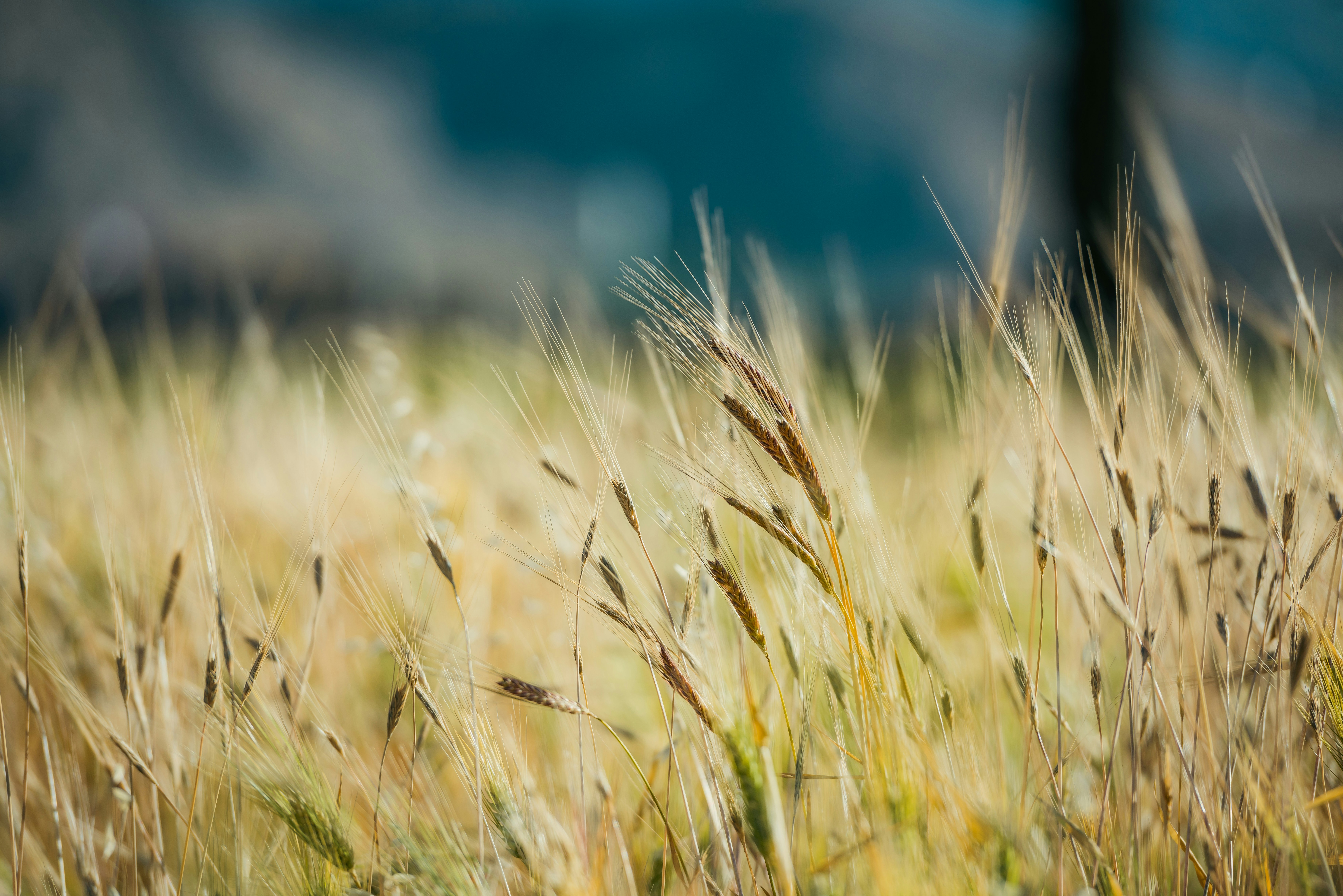 Photo by mk_cameraman