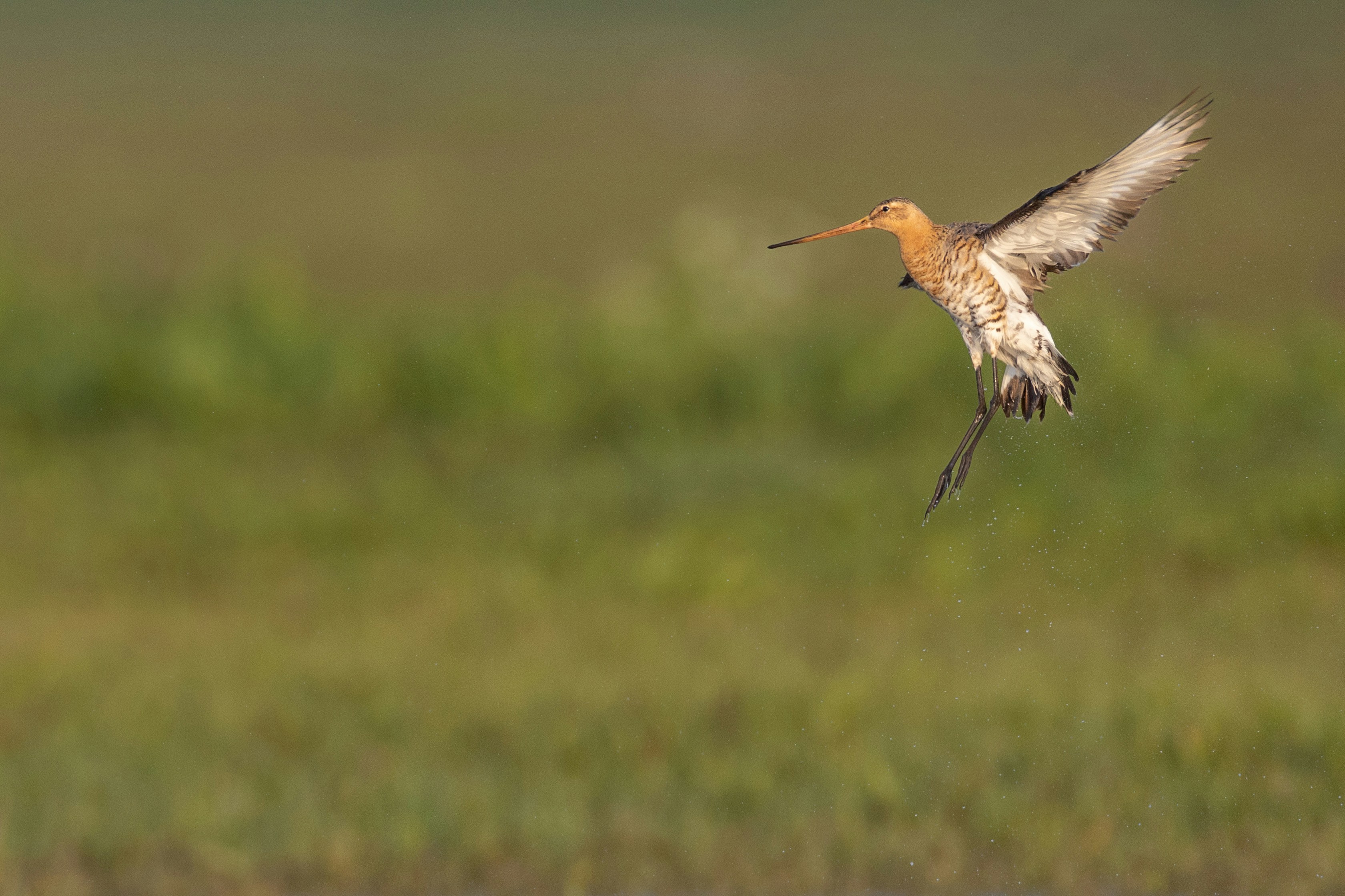 Photo by vincentvanzalinge