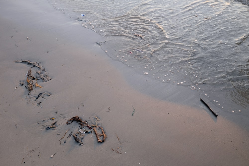 footprints in the sand on a beach near the water