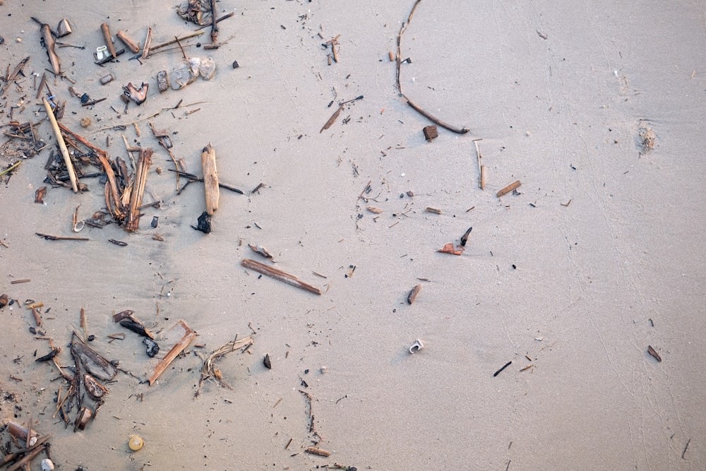a bunch of debris on a beach near the water