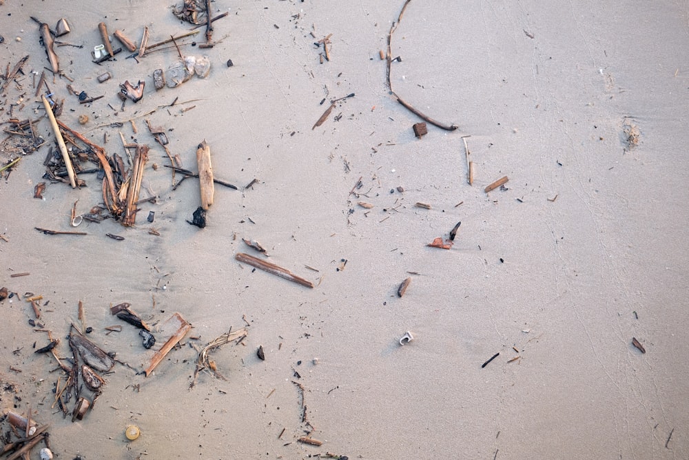 un tas de débris sur une plage près de l’eau