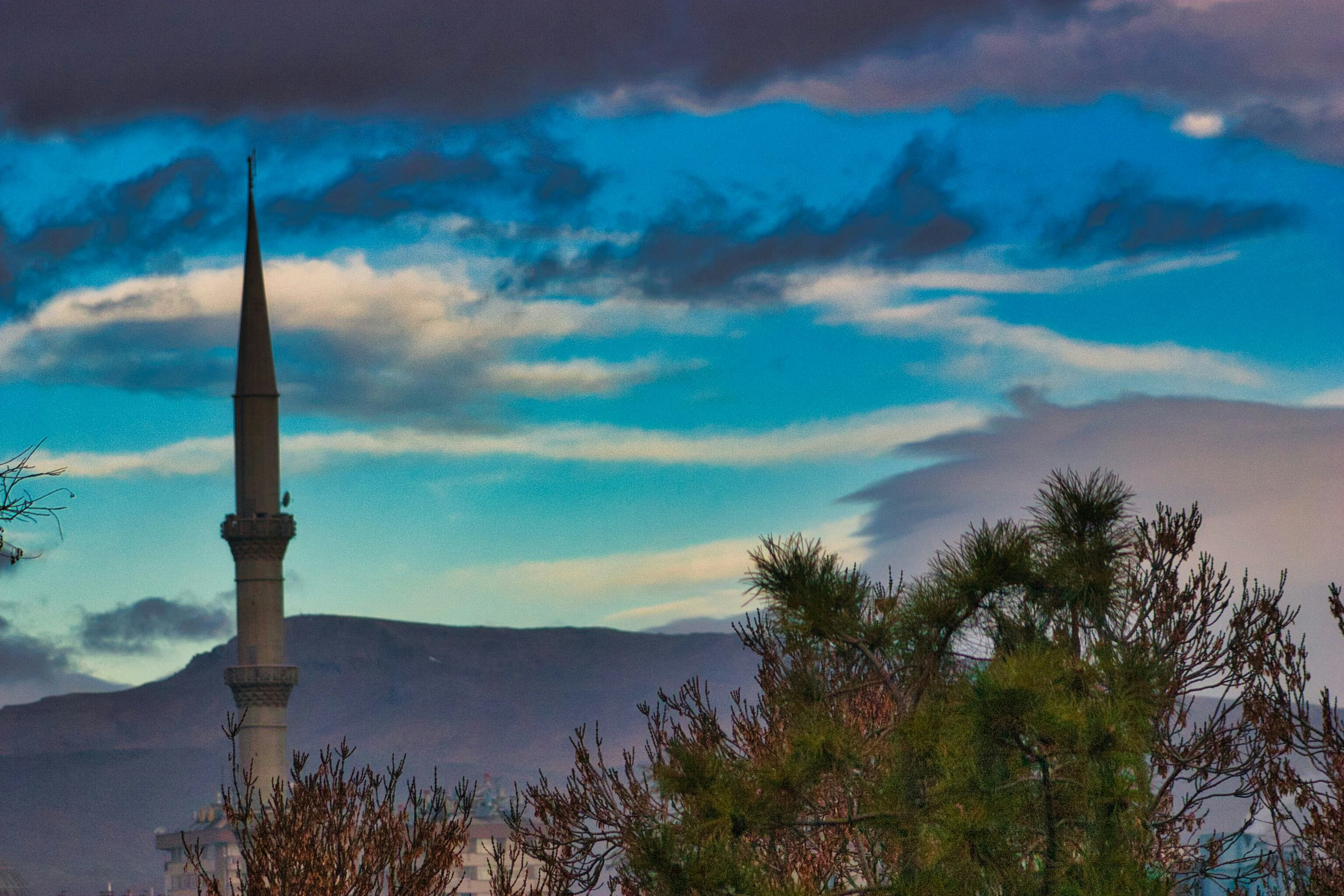 Başkentte Sanat ve Bilim Buluşması: İki Sergi Bir Arada - Yaşam haberi görseli