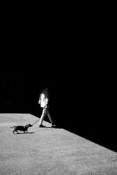 A high-contrast black and white image depicting a person walking a dog. The scene captures the person dressed in light clothing, transitioning from a brightly lit area into deep shadow. The small dog is on a leash, trotting beside the person. The stark shadows create a dramatic and mysterious atmosphere.