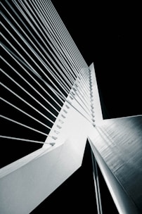 a black and white photo of a tall building