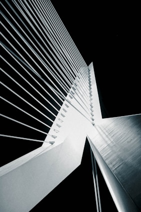 a black and white photo of a tall building