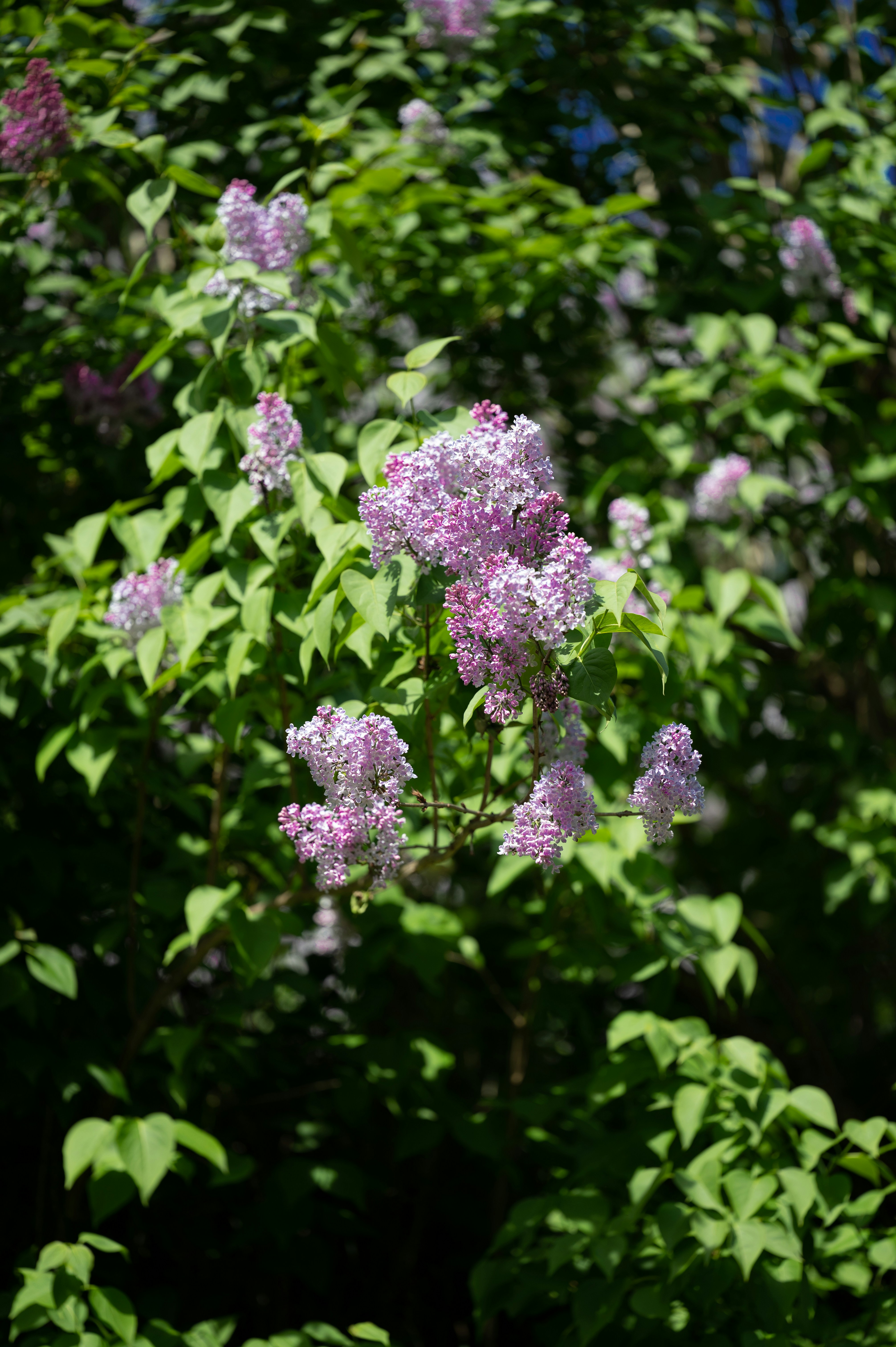 Photo by mariia_khis