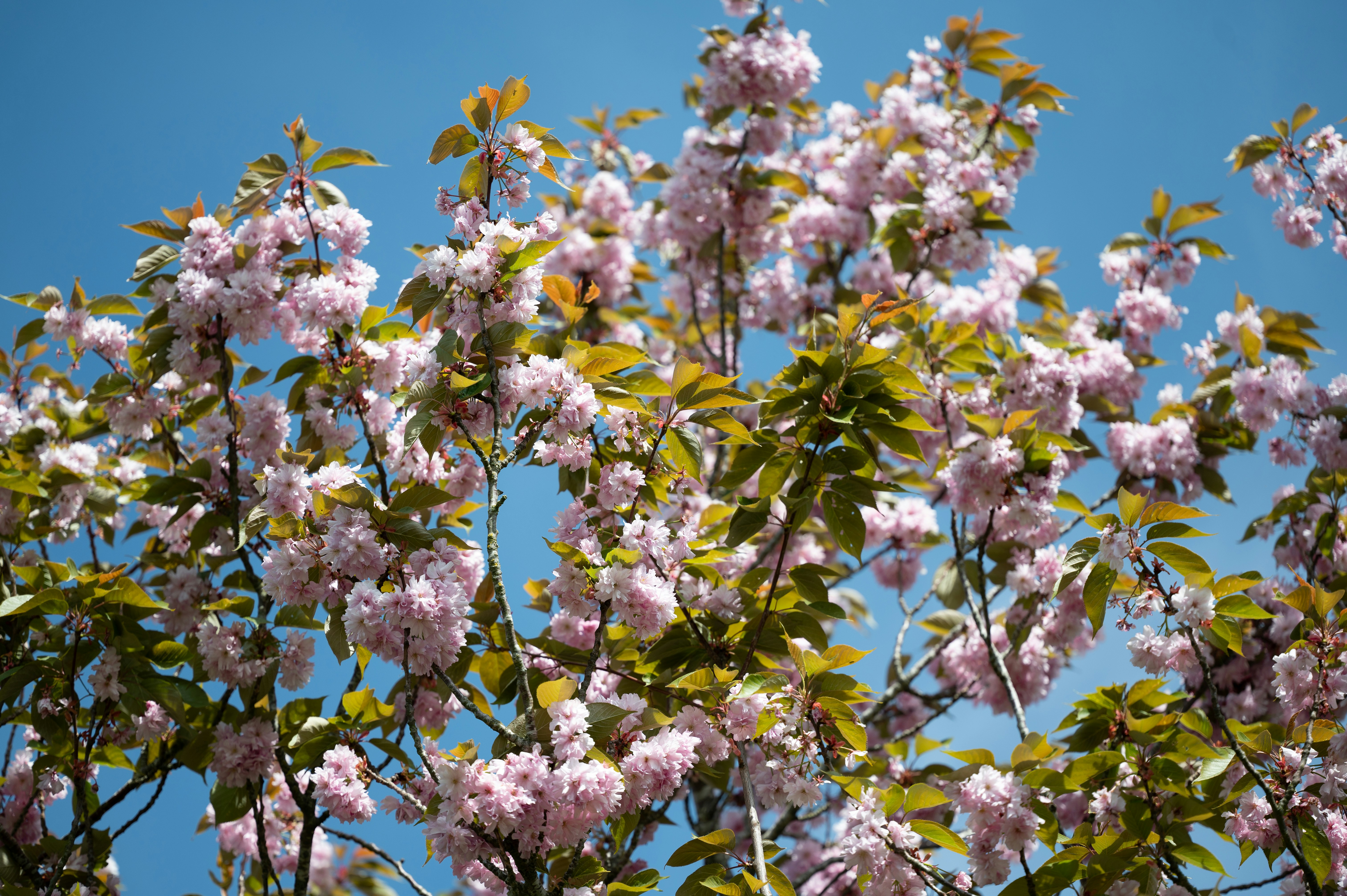 Photo by mariia_khis