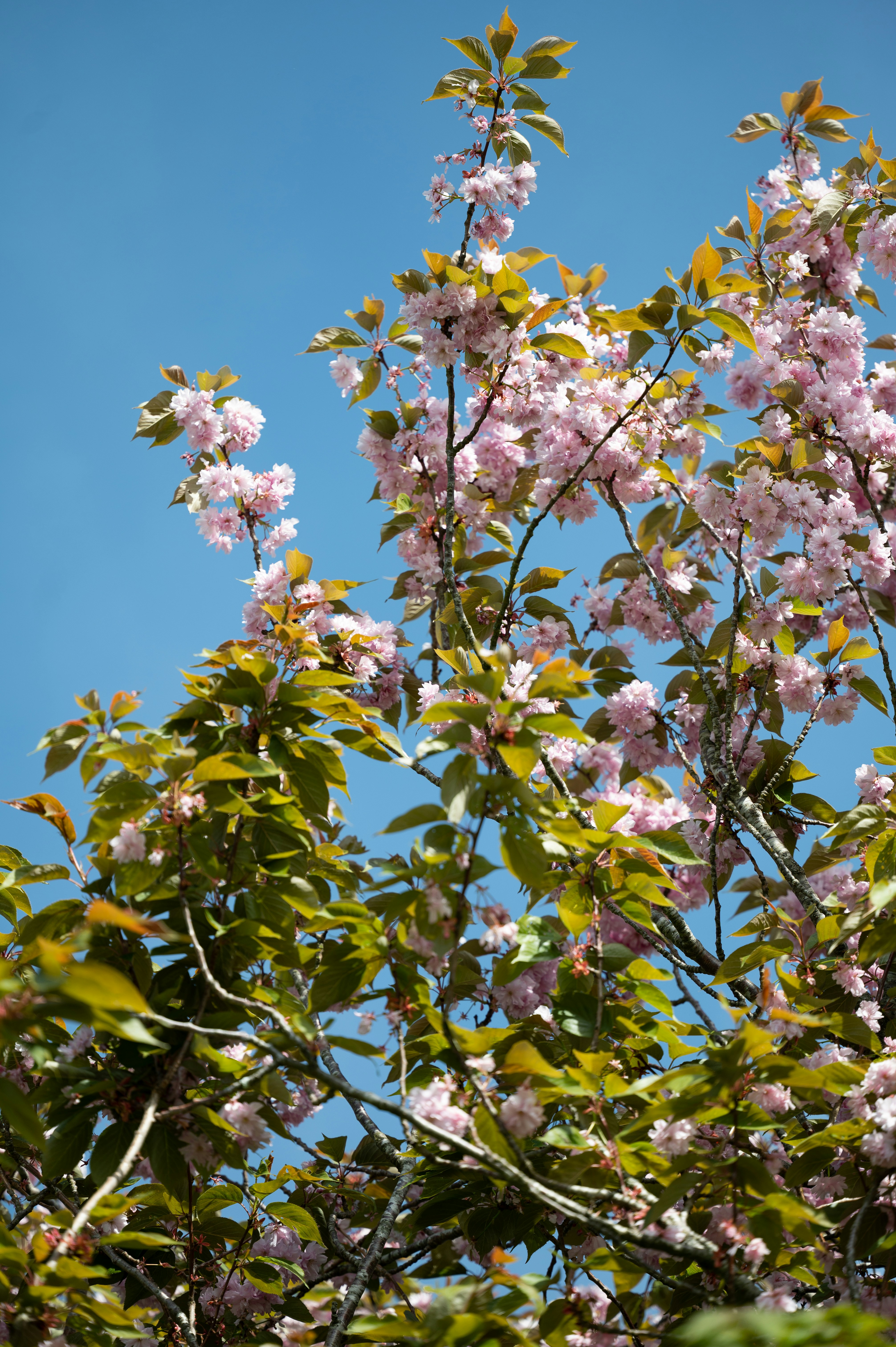 Photo by mariia_khis