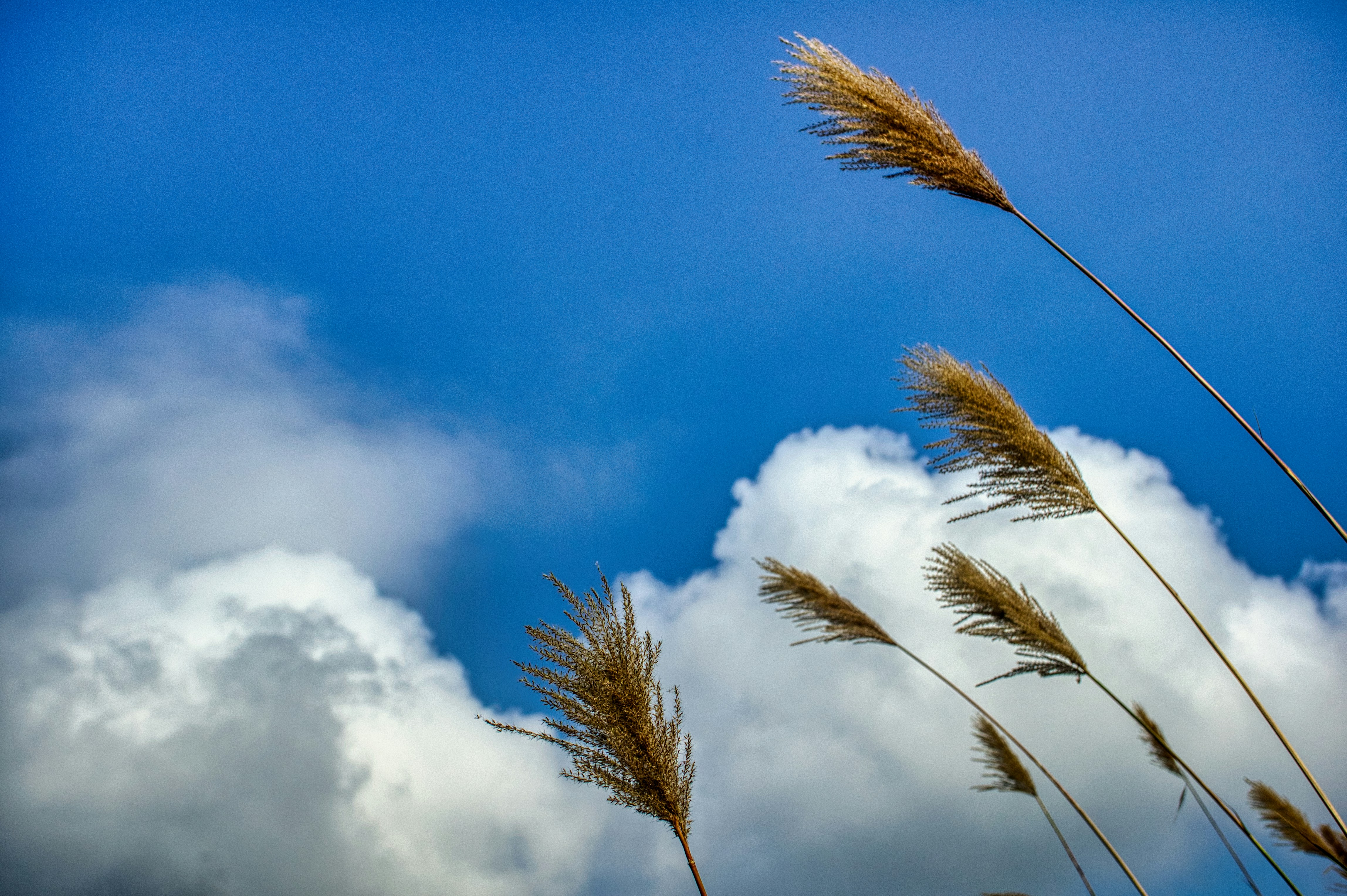 Photo by thomaskinto