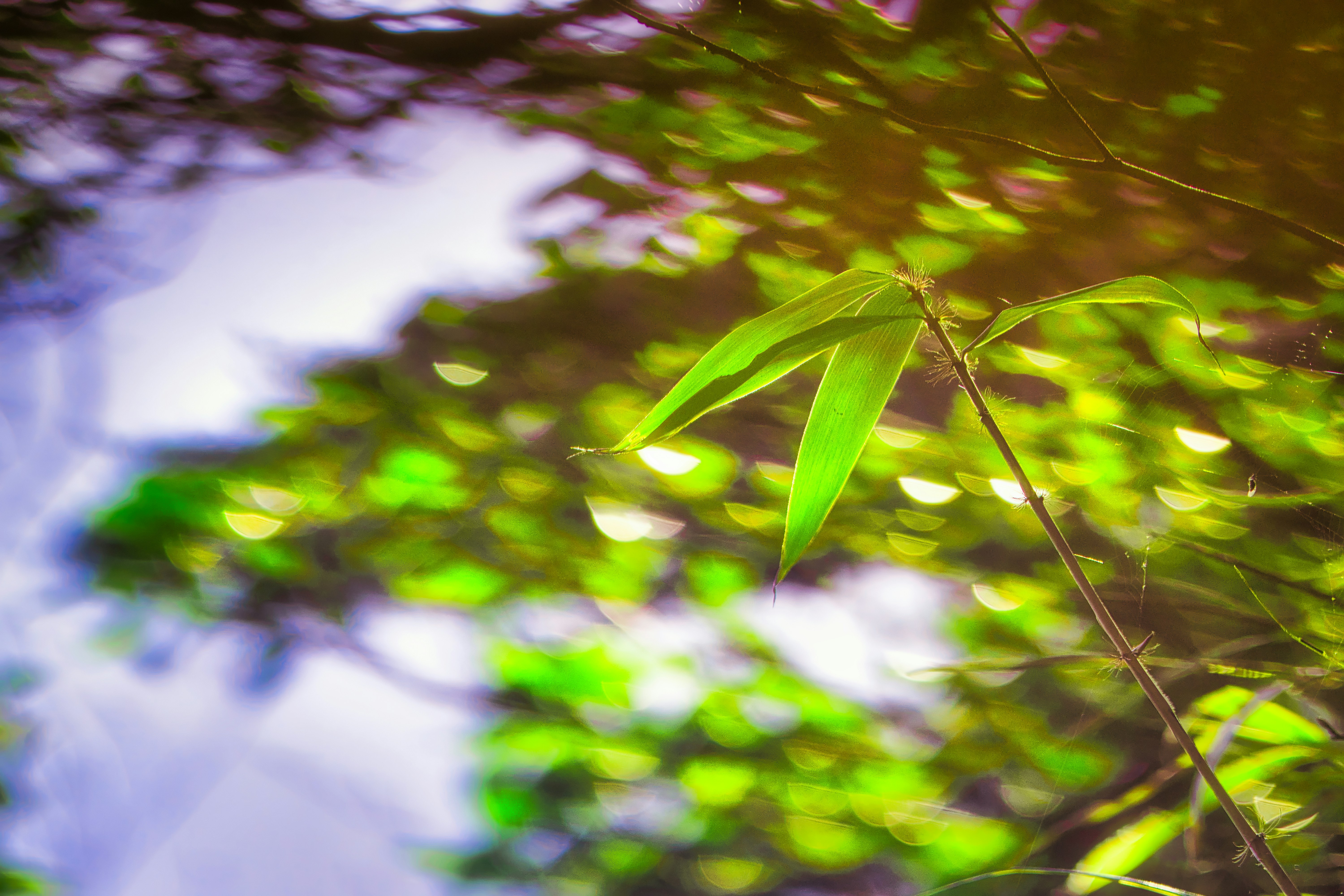 Photo by thomaskinto