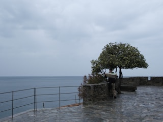 A traveler studying a detailed map of Montenegro’s coastline on a sunny terrace.