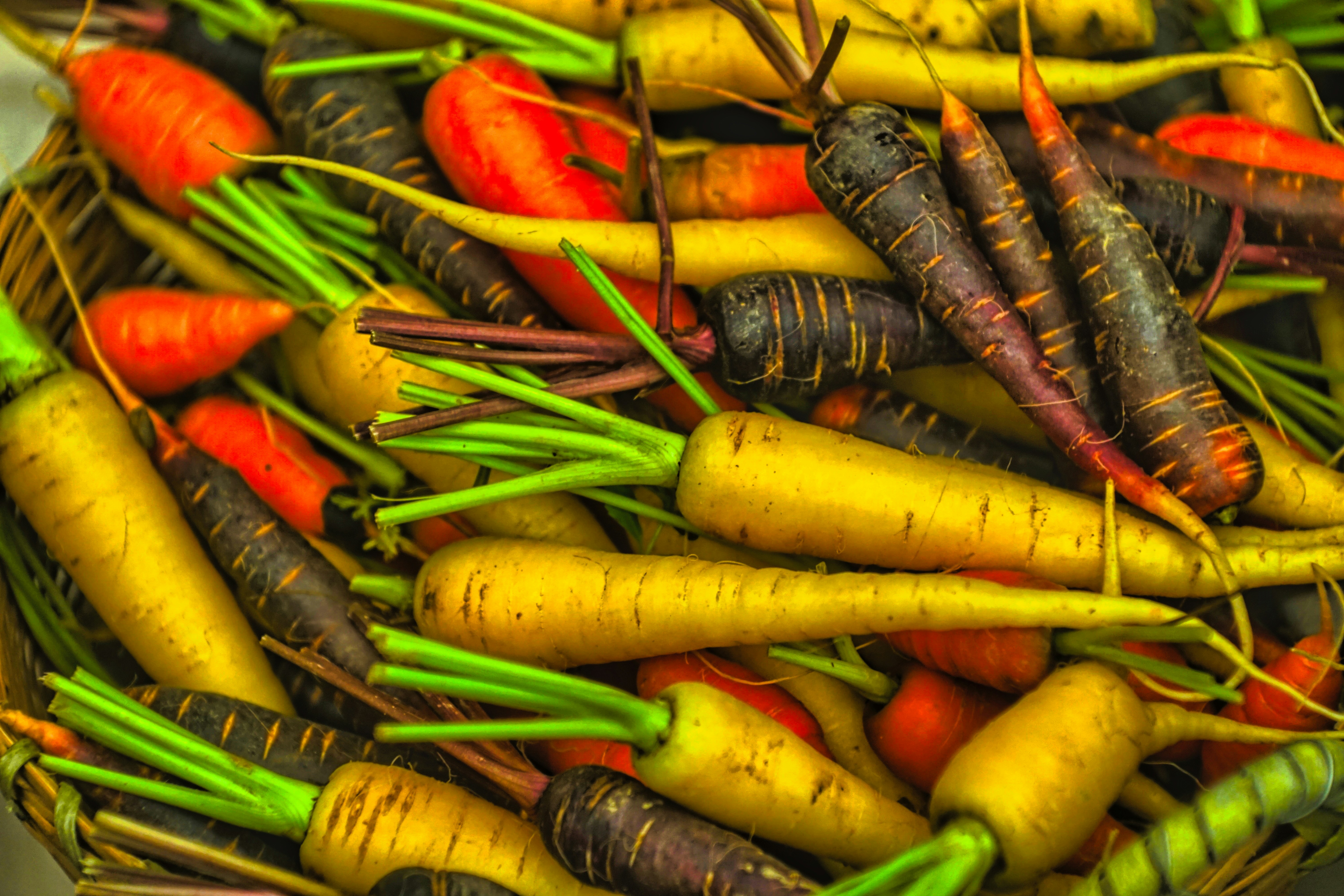 Photo by thomaskinto