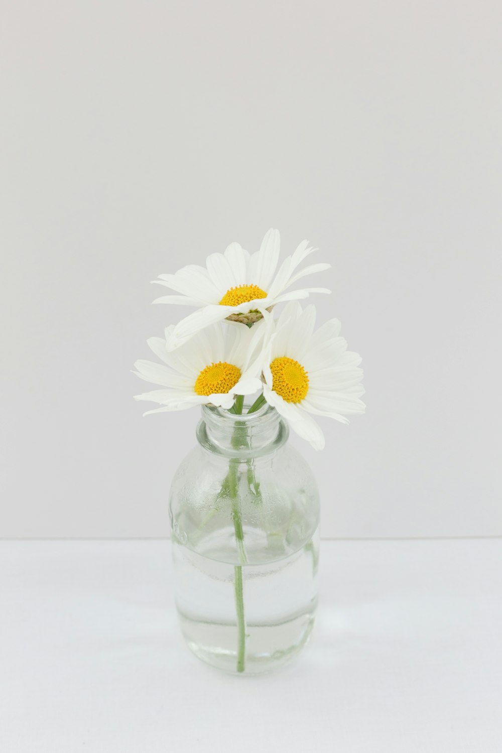 a glass vase with some daisies in it