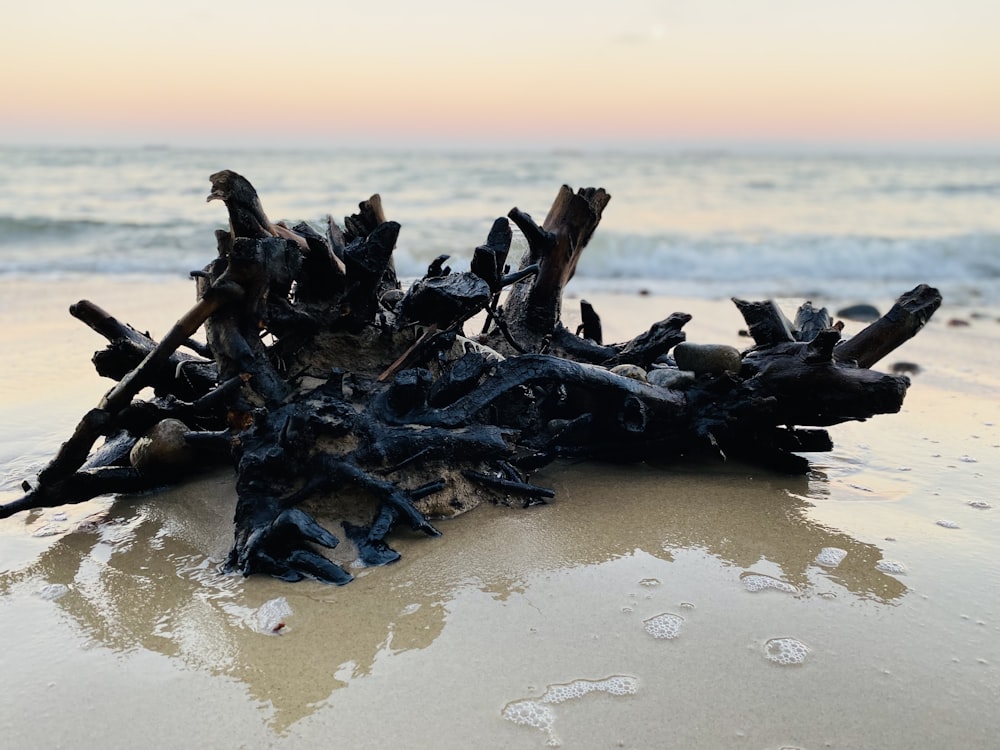 a pile of driftwood sitting on top of a sandy beach