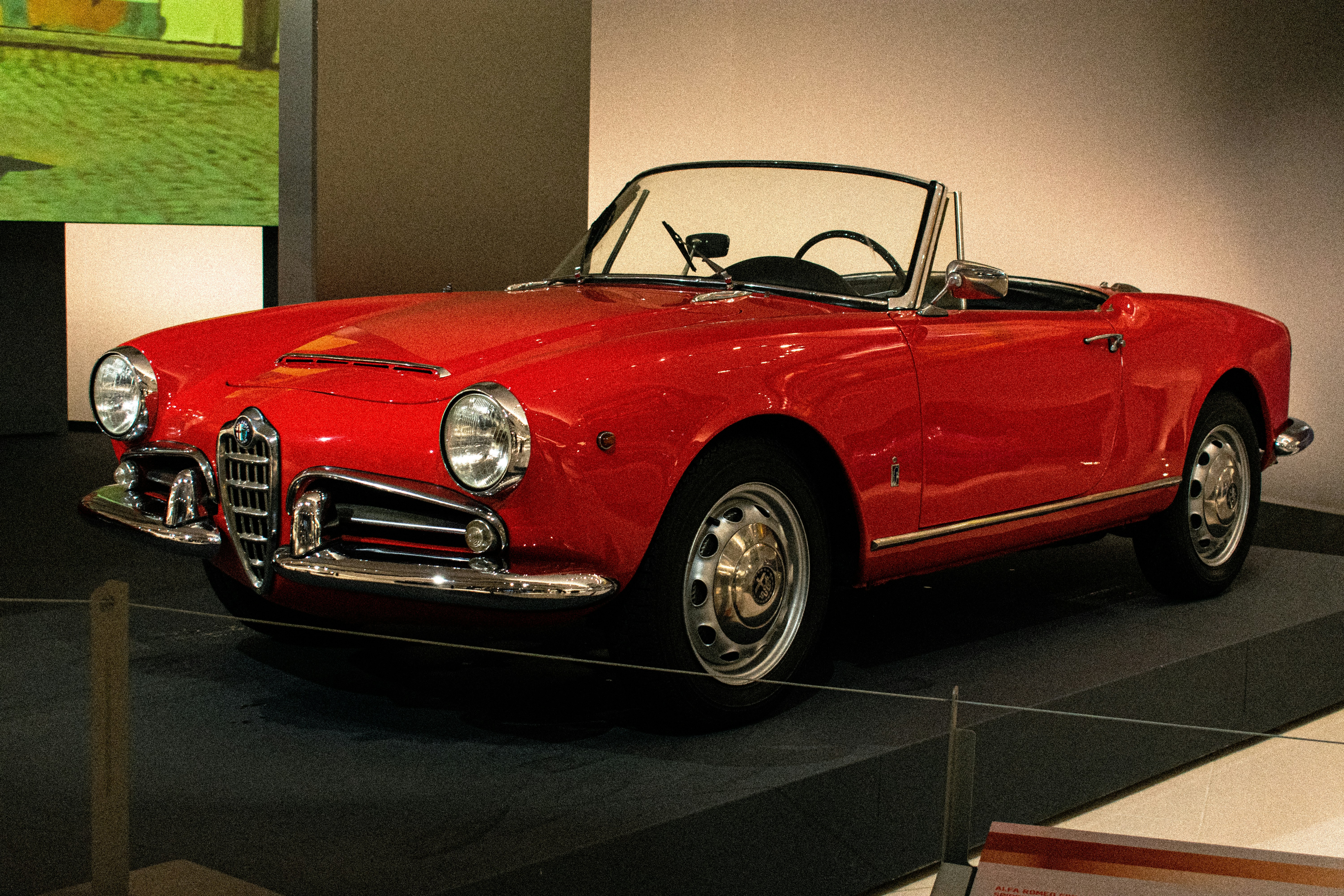 Photo by stefanotanny