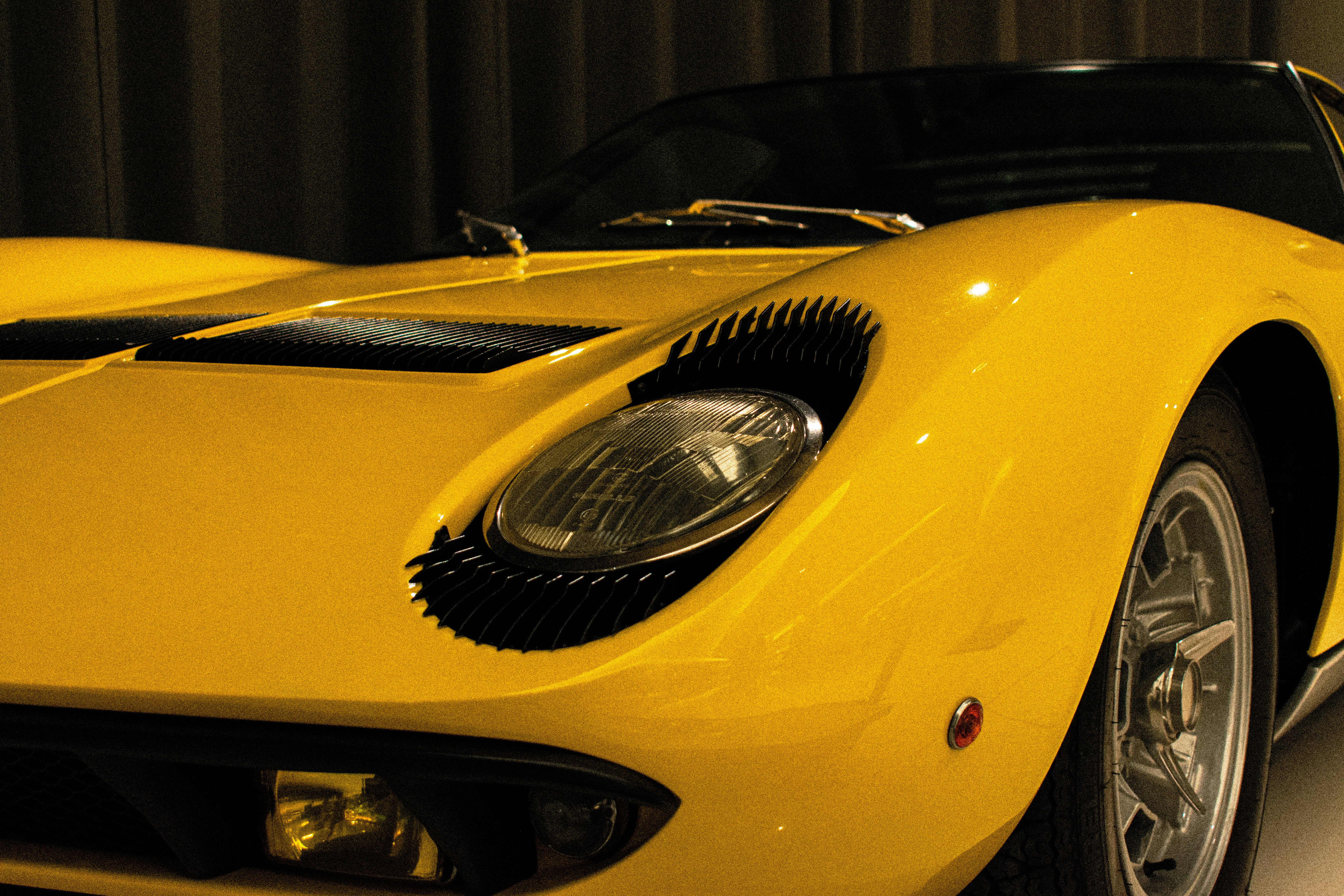 Photo by stefanotanny