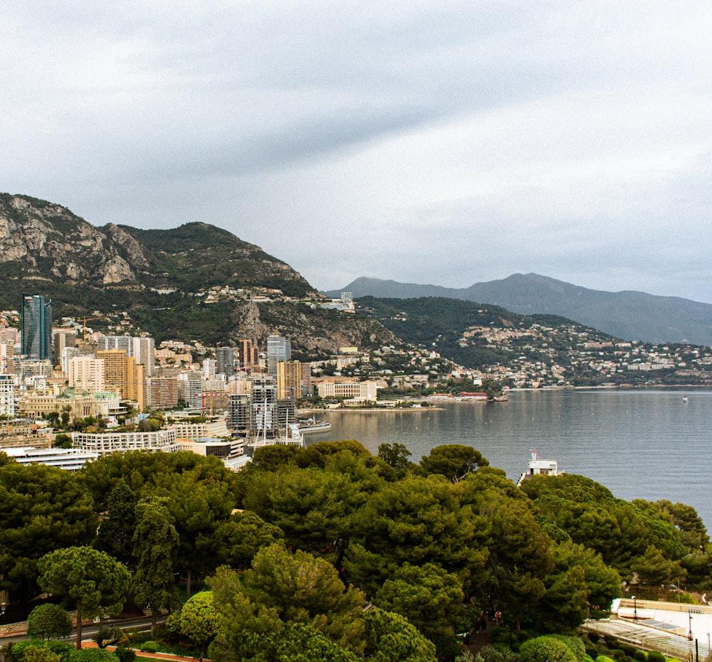 a view of a city with mountains in the background