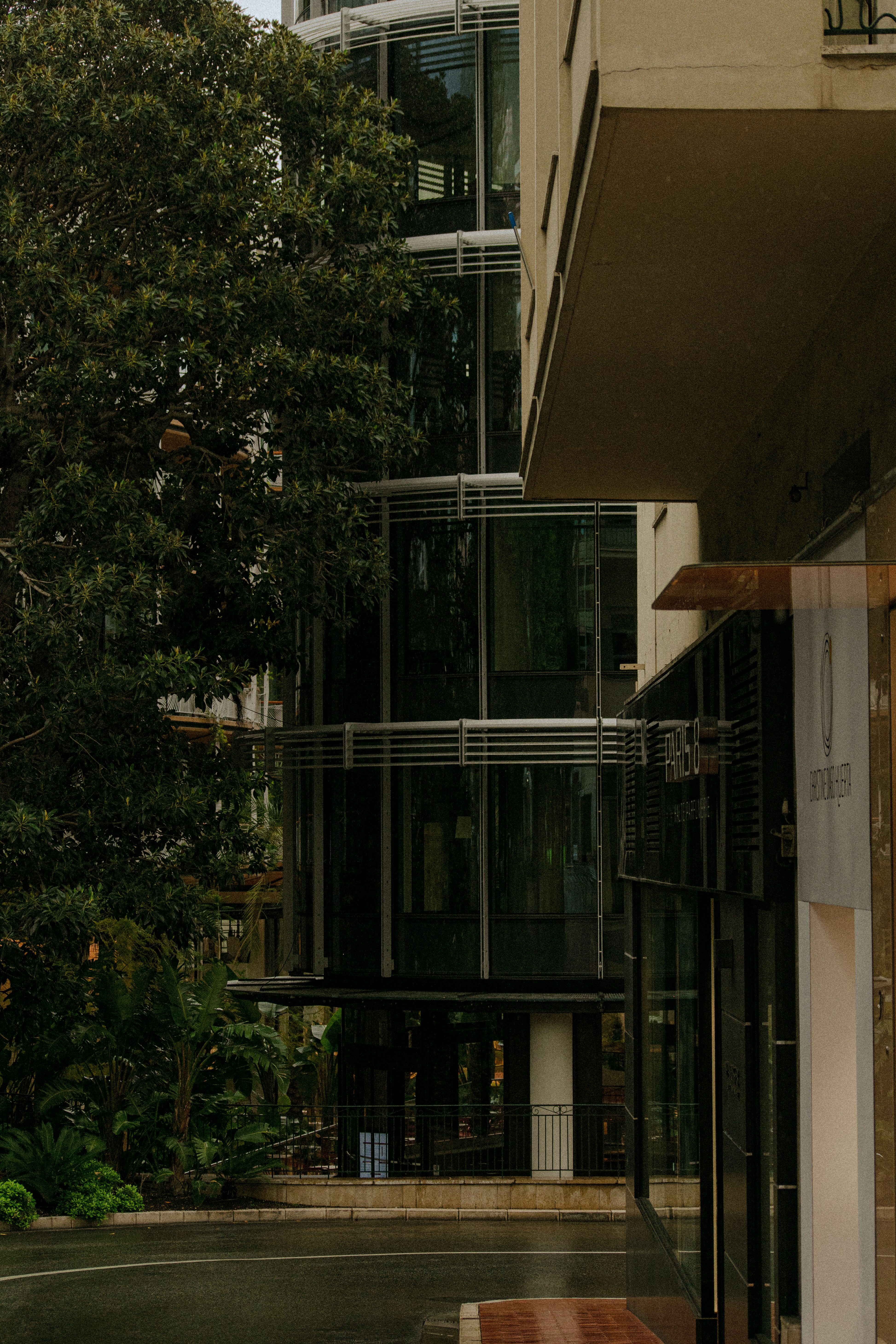 Photo by stefanotanny