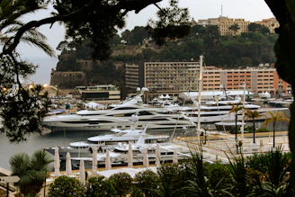 a marina filled with lots of white boats