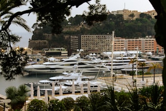 a marina filled with lots of white boats