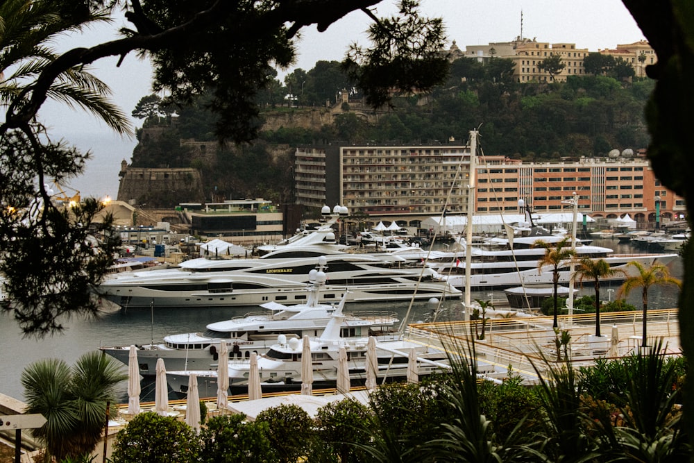 a marina filled with lots of white boats