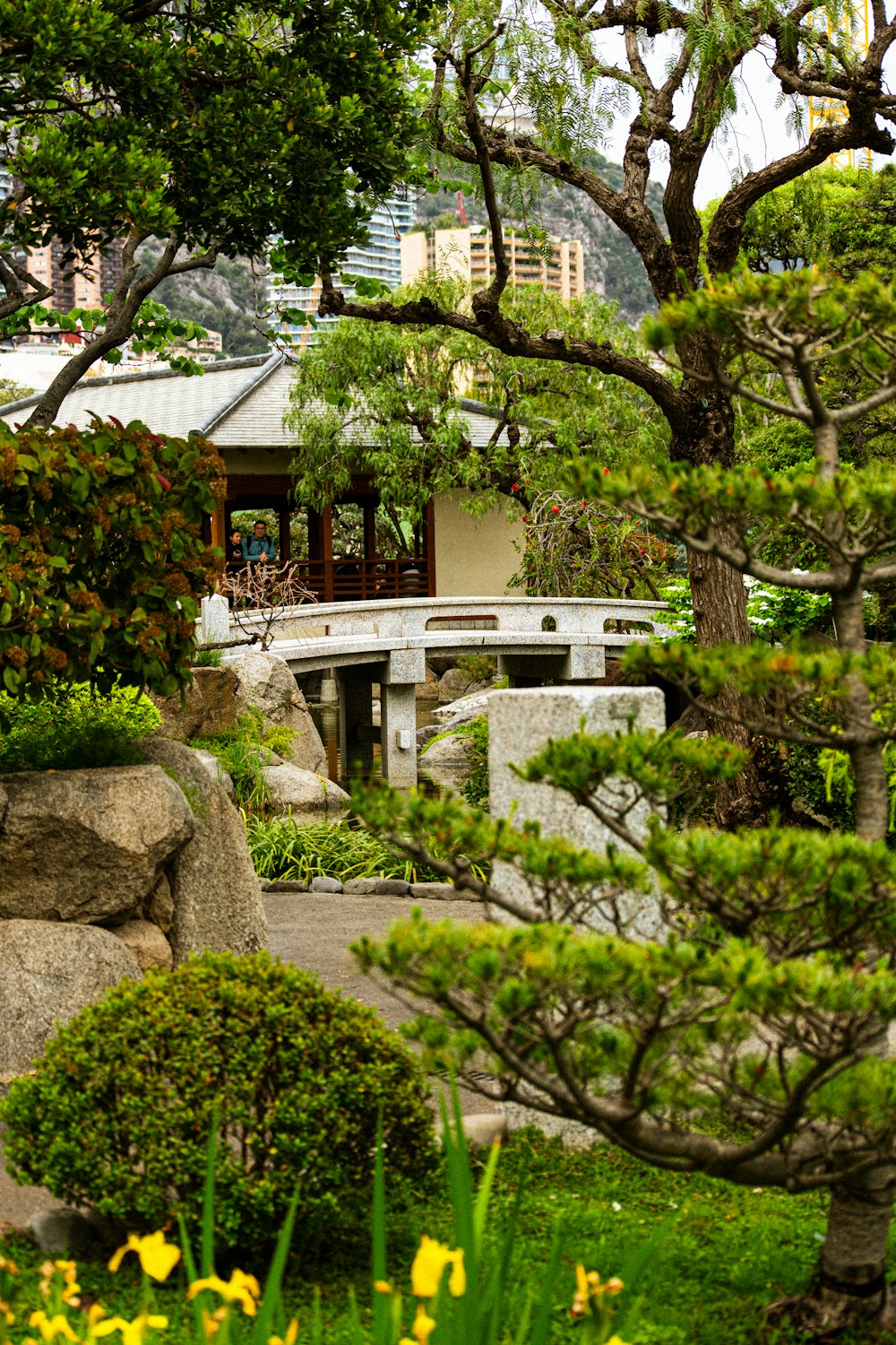 a view of a garden with a bridge in the background