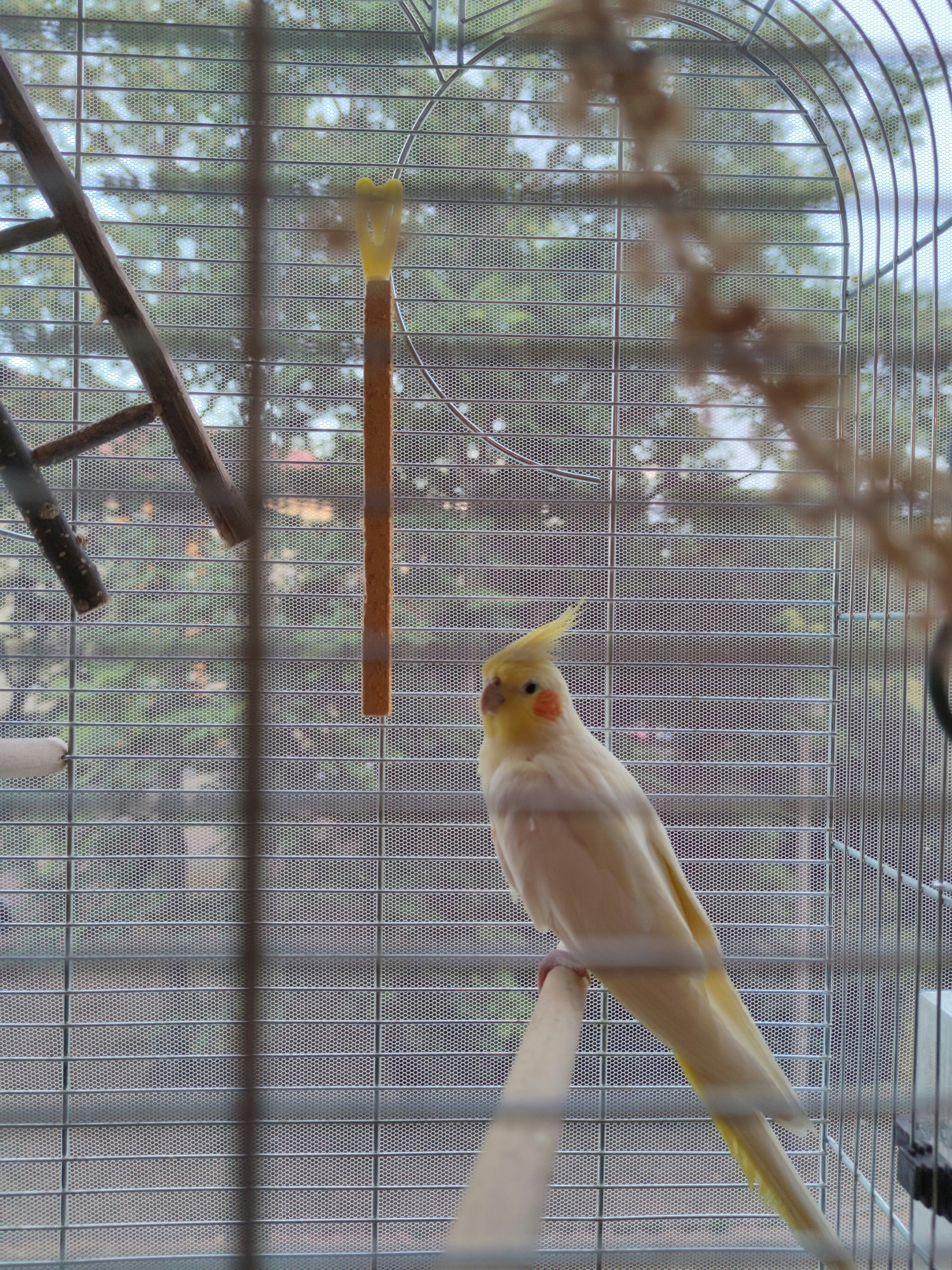 Digitale Produkte für Senioren