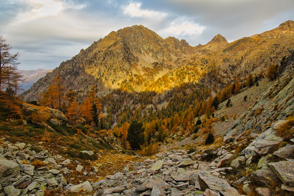 a view of a mountain range with rocks and trees in the foreground