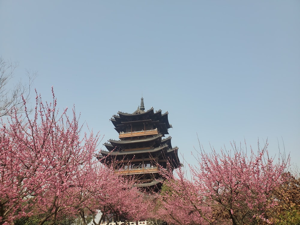 a tall pagoda surrounded by trees with pink flowers