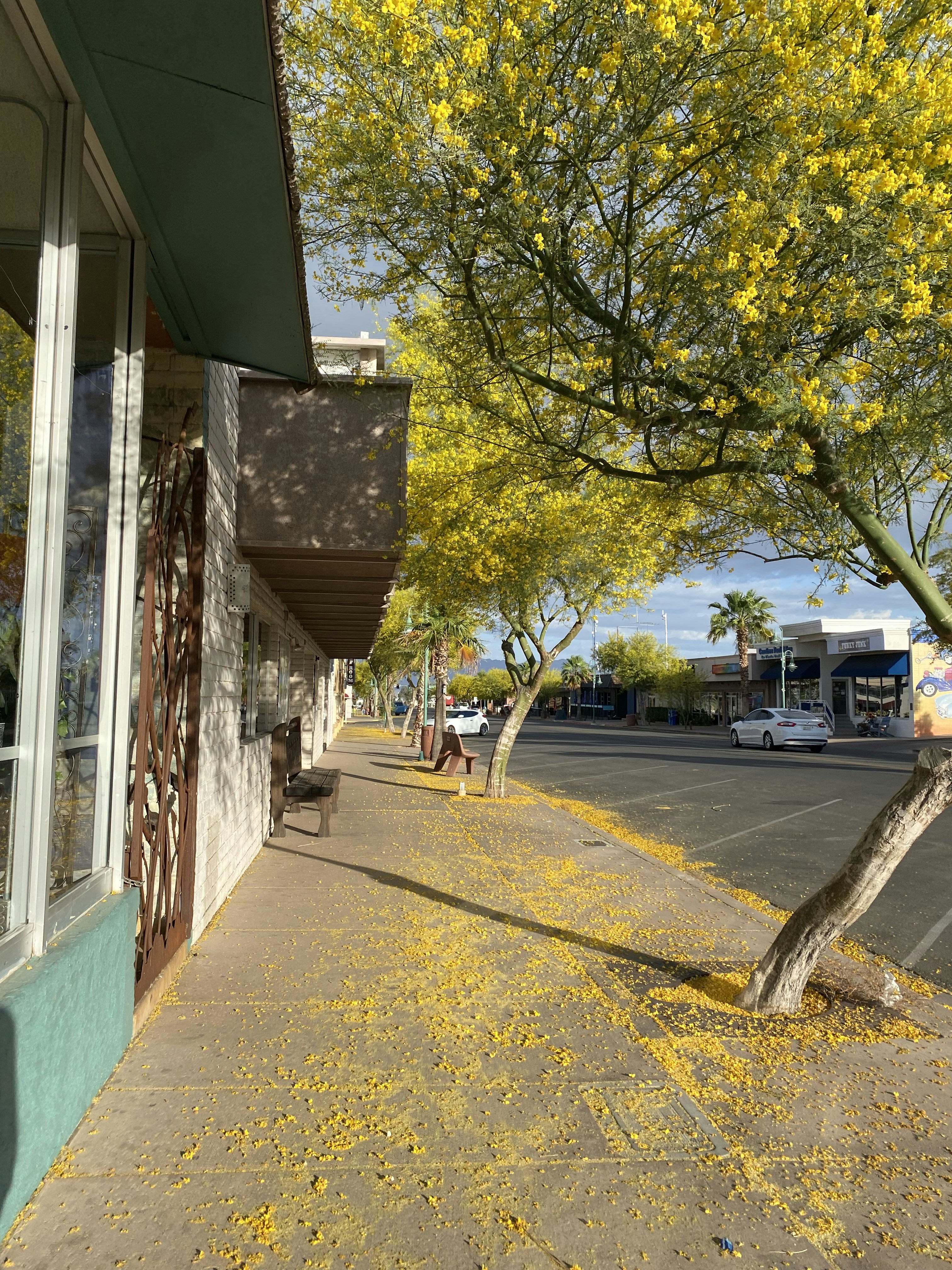 uma calçada com folhas amarelas no chão
