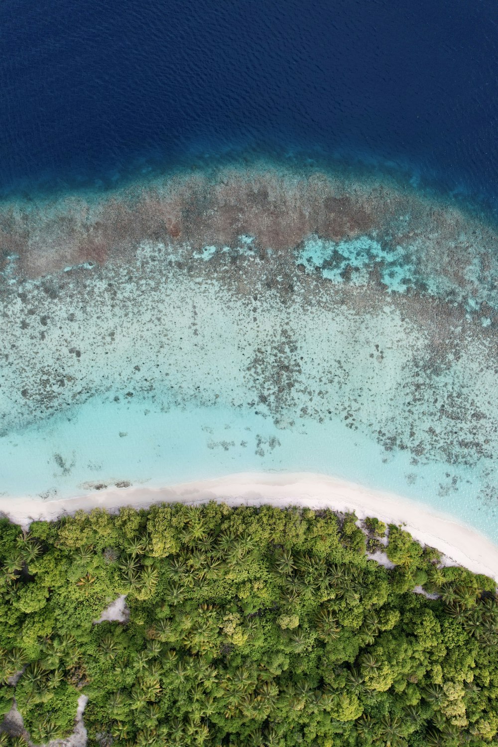 an aerial view of a tropical island in the middle of the ocean