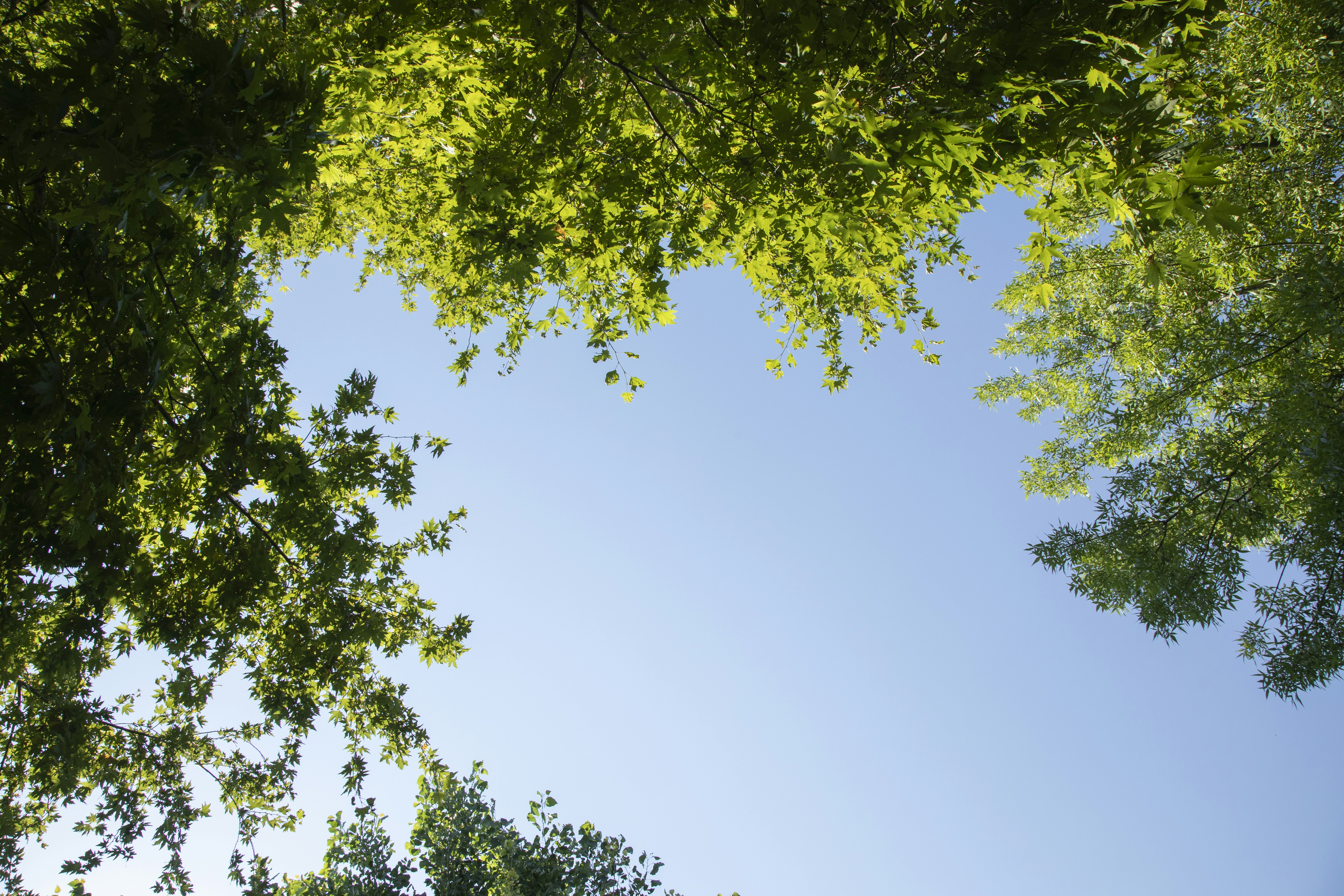 Photo by enginakyurt