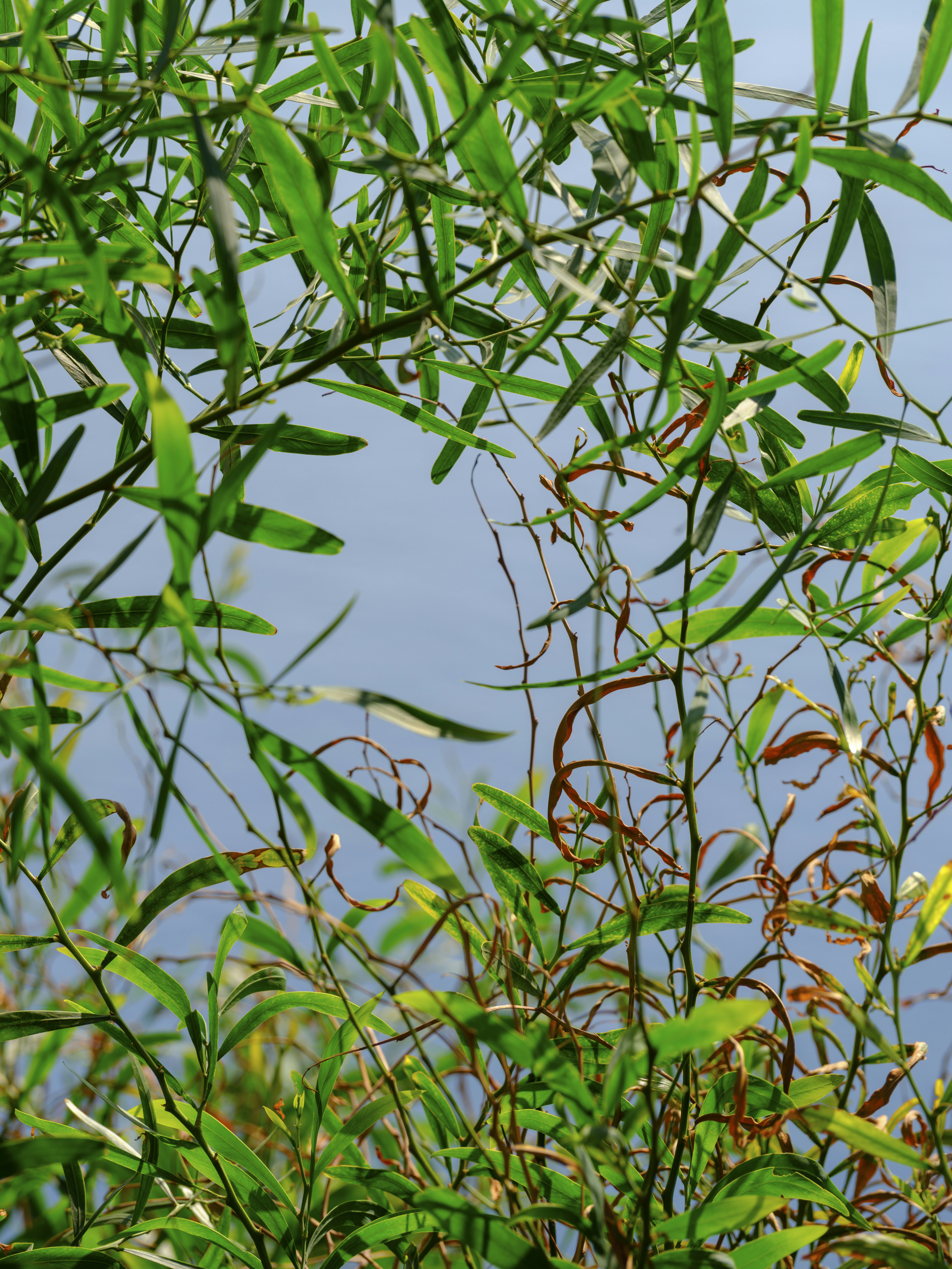 Photo by enginakyurt