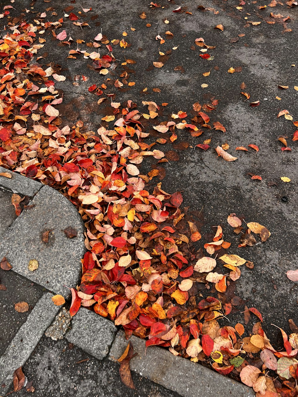 a fire hydrant sitting on the side of a road covered in leaves