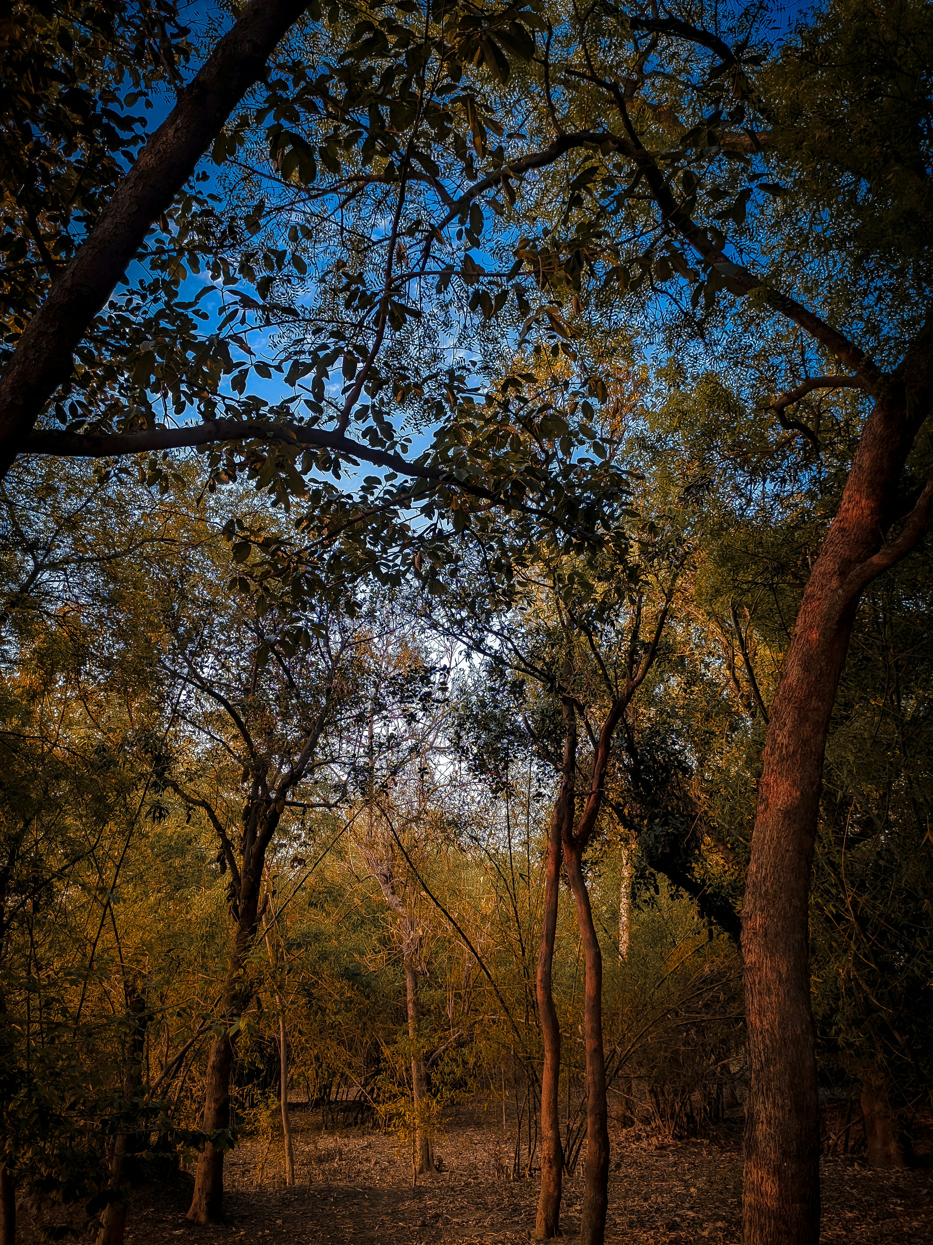 Photo by amanmaurya_117