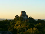 A large stone temple rises above a lush jungle canopy under a clear sky illuminated by soft, golden light. The ancient structure showcases stepped terraces and a flat summit, indicative of traditional pyramid architecture.