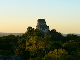 A large stone temple rises above a lush jungle canopy under a clear sky illuminated by soft, golden light. The ancient structure showcases stepped terraces and a flat summit, indicative of traditional pyramid architecture.