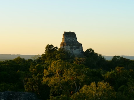 A large stone temple rises above a lush jungle canopy under a clear sky illuminated by soft, golden light. The ancient structure showcases stepped terraces and a flat summit, indicative of traditional pyramid architecture.