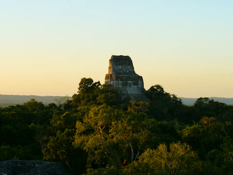 A large stone temple rises above a lush jungle canopy under a clear sky illuminated by soft, golden light. The ancient structure showcases stepped terraces and a flat summit, indicative of traditional pyramid architecture.