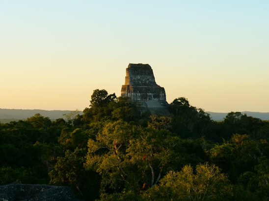 a large stone structure sitting on top of a lush green forest