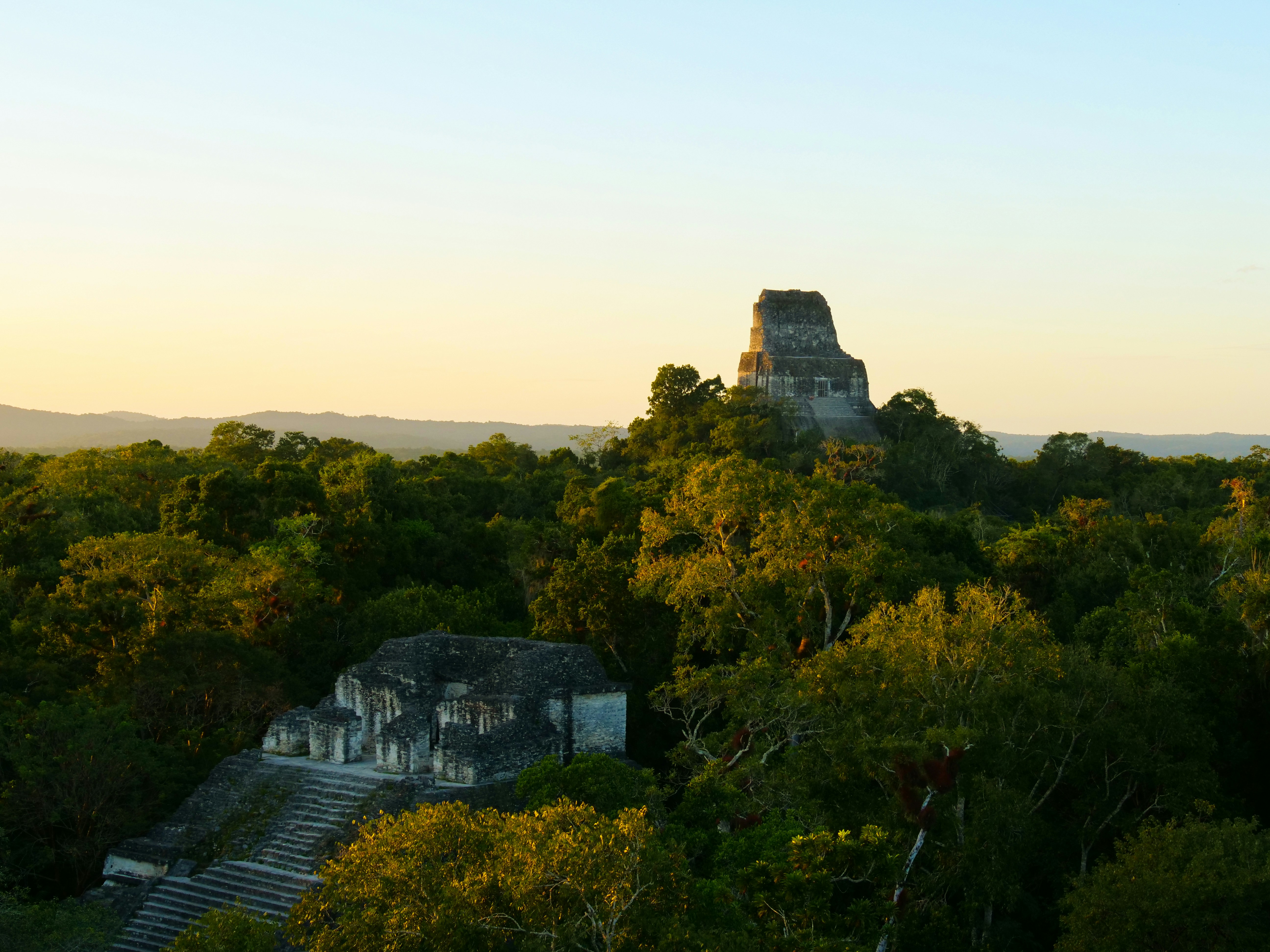 Mayan pyramid temple rising from jungle canopy, ancient stone steps, misty tropical morning