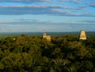 The ancient ruins of a historic site surrounded by dense greenery under a clear blue sky.