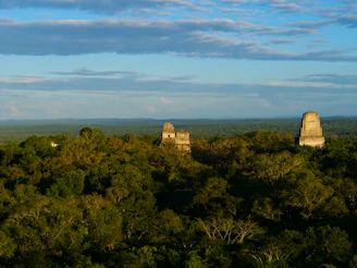 The ancient ruins of a historic site surrounded by dense greenery under a clear blue sky.