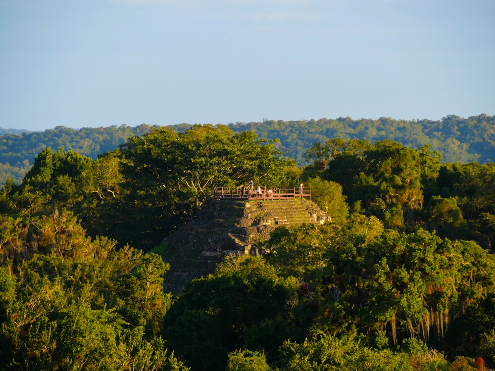 a group of people standing on top of a lush green hillside