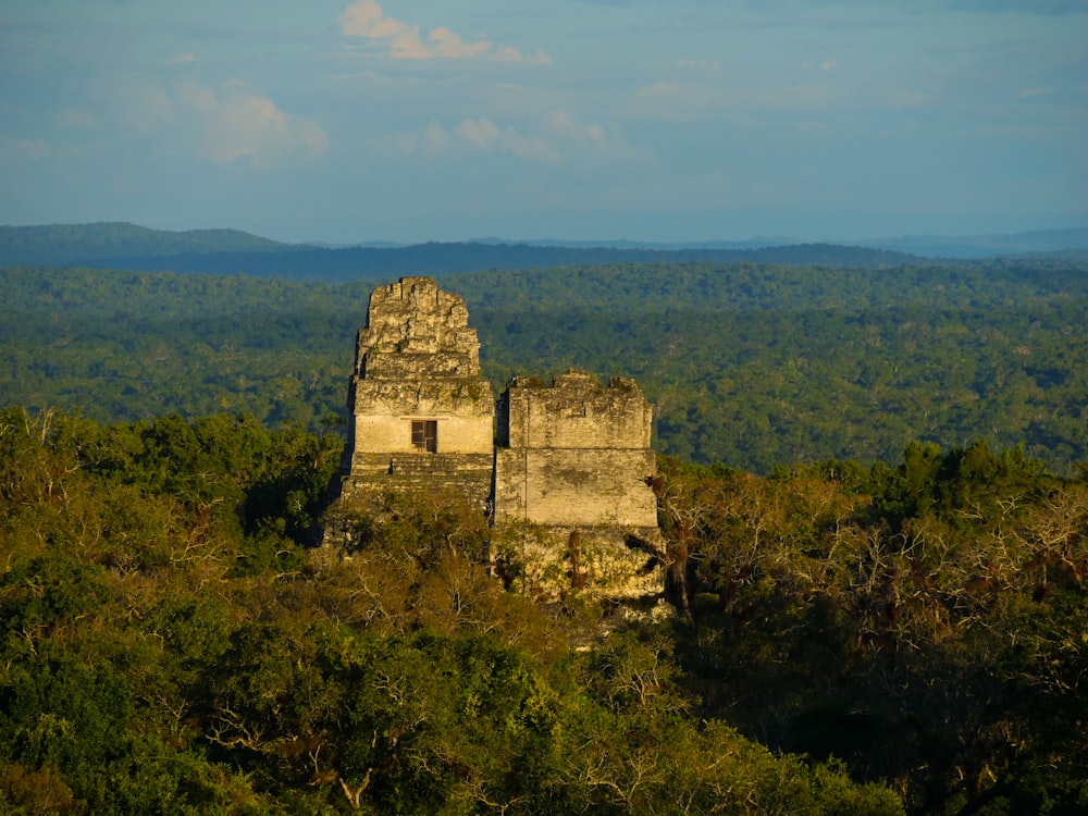 a stone structure in the middle of a forest