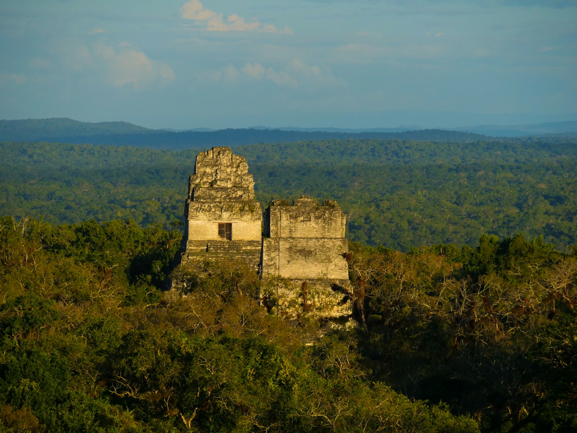 a stone structure in the middle of a forest