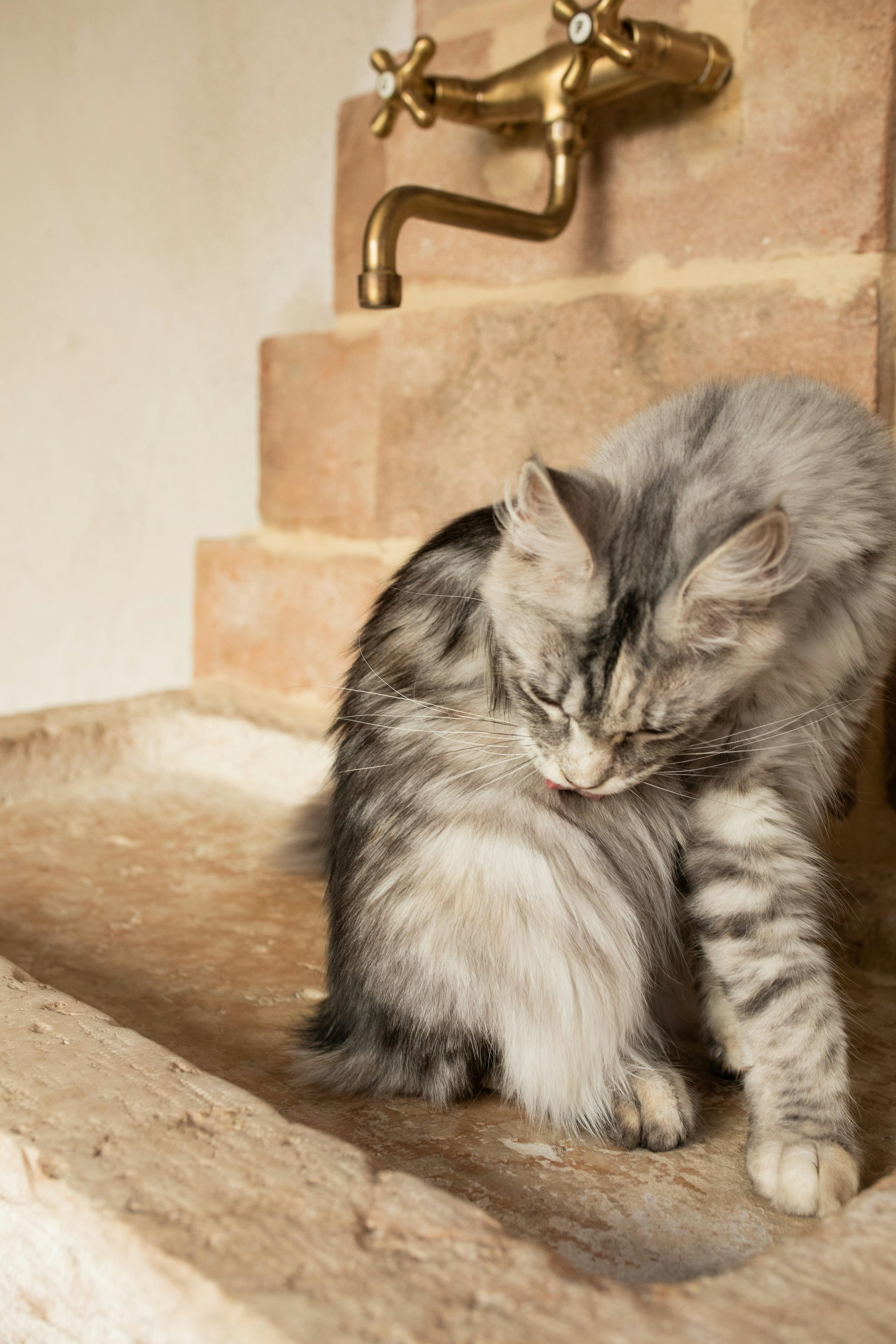 Perfect for Small Spaces (image credits: unsplash)