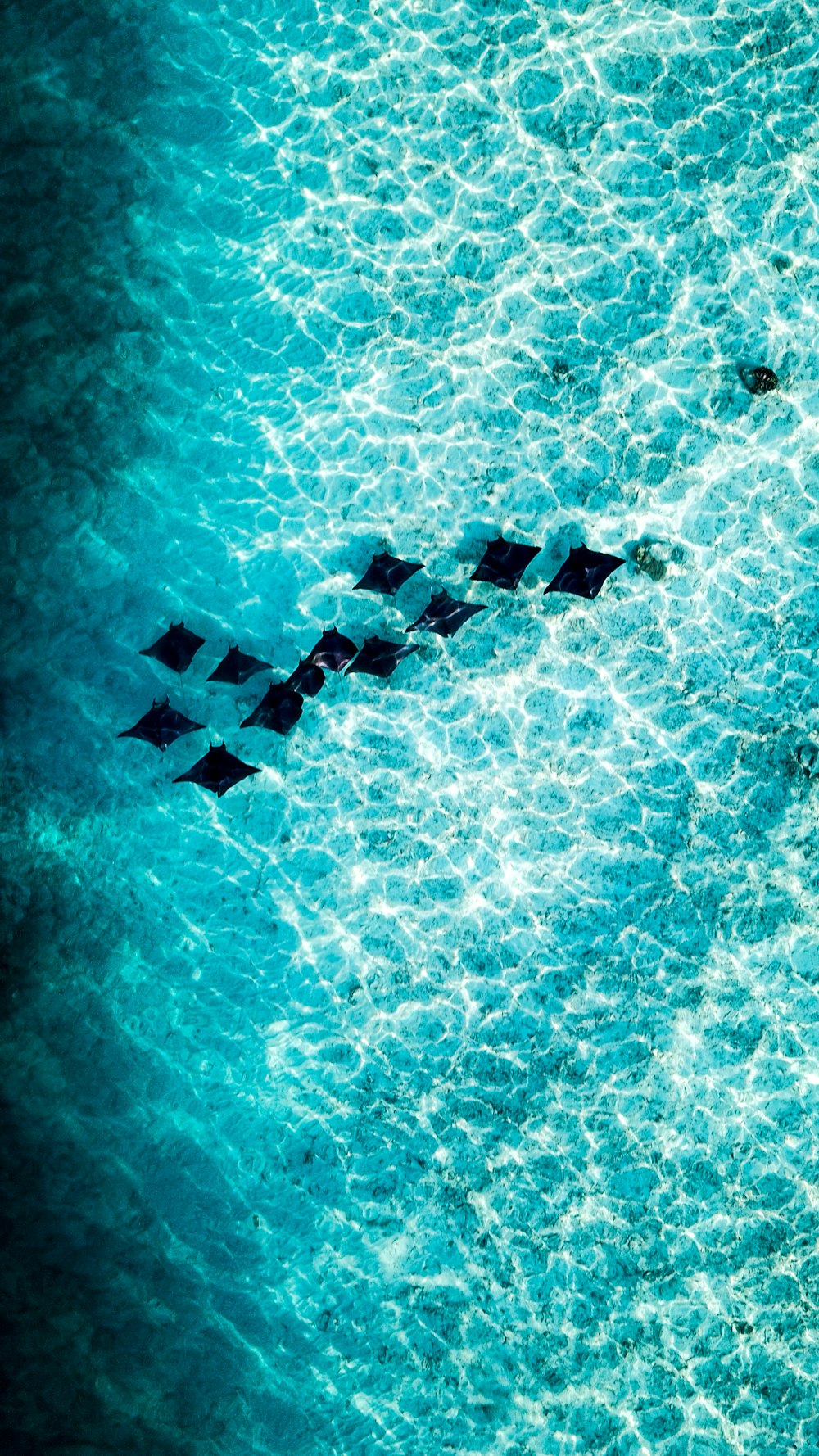 an aerial view of a plane flying over the ocean