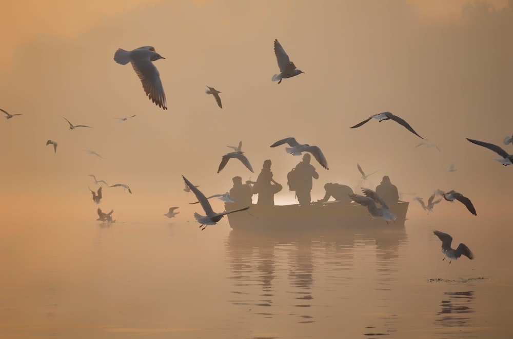 a flock of birds flying over a body of water